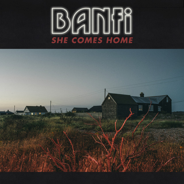 She Comes Home cover