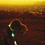 Era Extraña cover