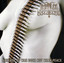 Absence Of War cover
