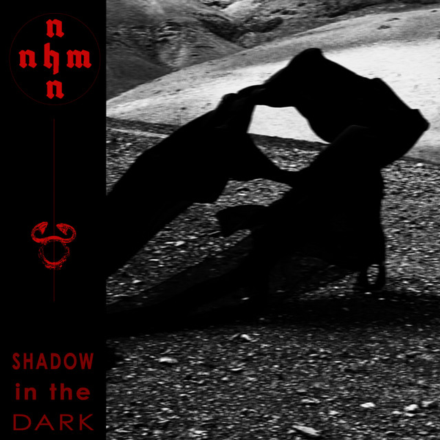 Shadow In The Dark cover