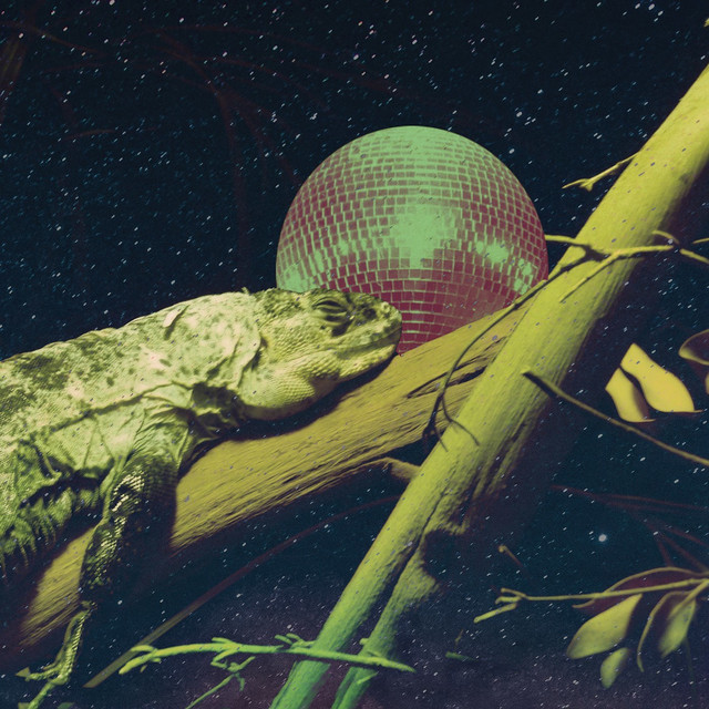 Iguana Garcia Photo