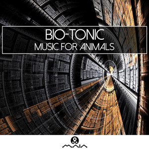 Music For Animals cover