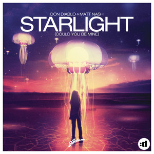 Starlight (Could You Be Mine) (Remixes) album