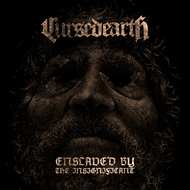 Enslaved By The Insignificant cover