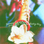 Gardenias for Lady Day cover