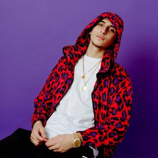 Geko Photo