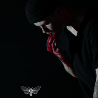 LEViT∆TE Photo