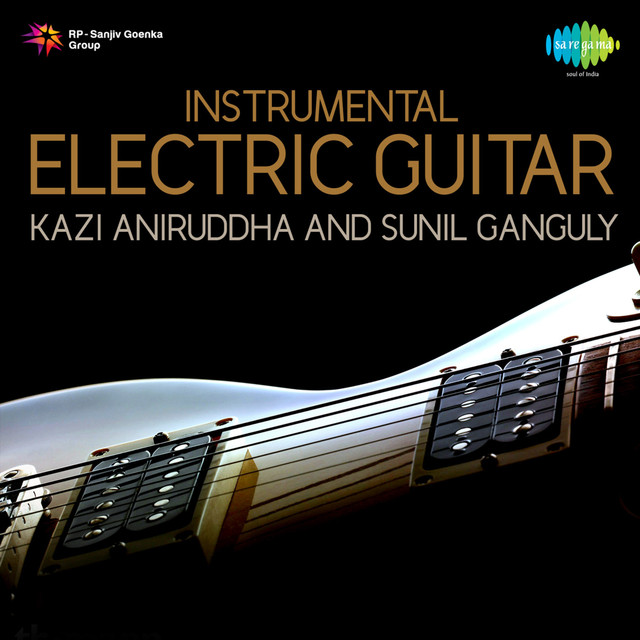 Kazi Aniruddha Photo
