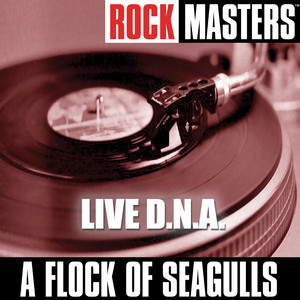 Rock Masters: Live D.N.A. album