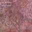 Peach Noise Albumcover