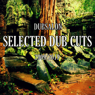 Dubsalon Photo