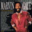 Every Great Motown Hit of Marvin Gaye cover