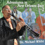 Adventures in New Orleans Jazz Part 2 cover