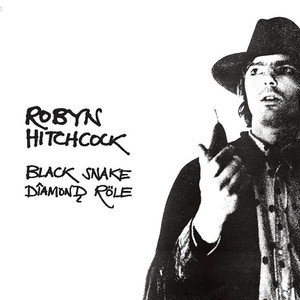 Black Snake Dîamonḑ Röle cover