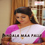 Andala Maa Palle Albumcover