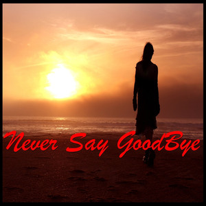 Never Say Goodbye album
