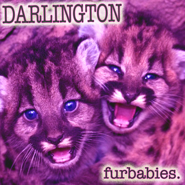 Furbabies cover