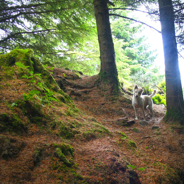 Chewing Photo