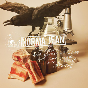 Birds And Microscopes And Bottles Of Elixirs And Raw Steak And A Bunch Of Songs album