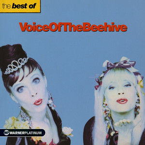 The Best of Voice of the Beehive cover