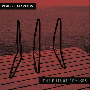The Future Remixes cover