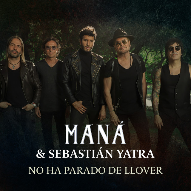 No Ha Parado De Llover cover