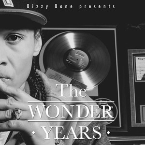 The Wonder Years album