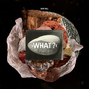 What? cover