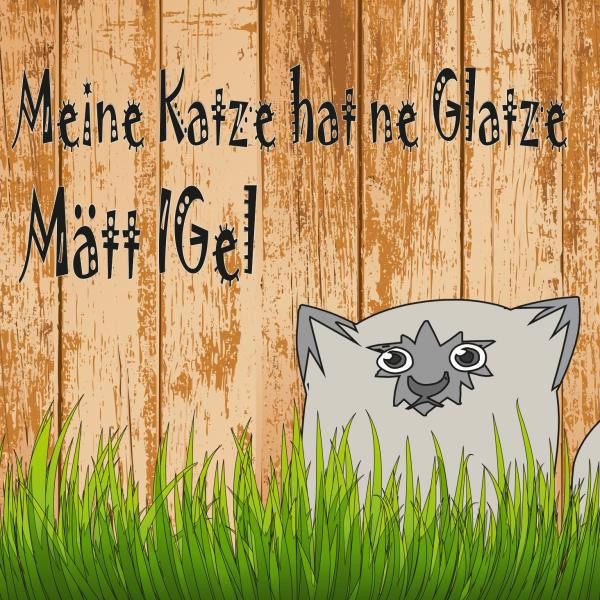 Mätt Igel Photo