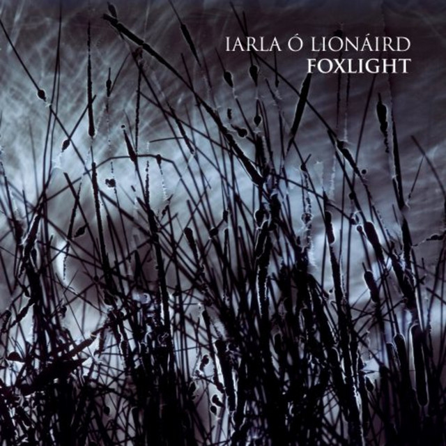 Iarla Ó Lionáird Photo
