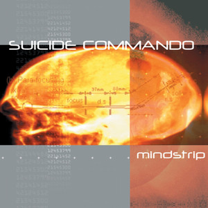 Mindstrip cover