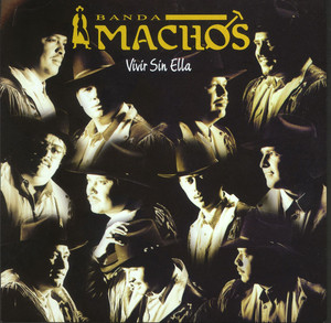 Vivir Sin Ella album