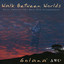 Walk Between Worlds Albumcover
