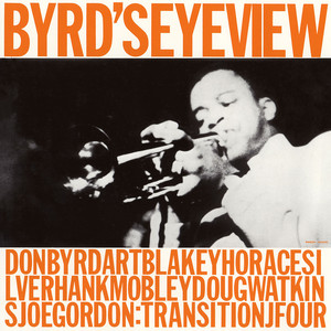 Byrds Eye View cover