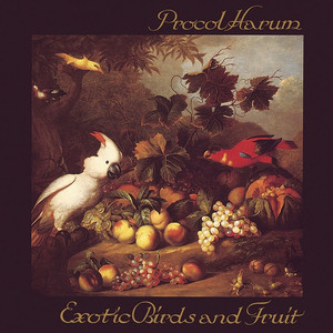 Exotic Birds and Fruit album