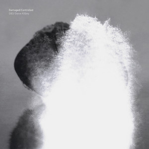 Damaged/Controlled album