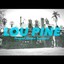Lou Pine