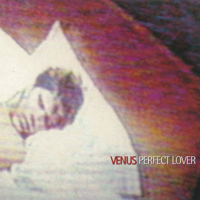 Perfect Lover cover