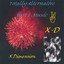 Totally Alternative Music XD - Version 1 Albumcover