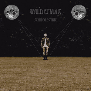 Schizolectric Albumcover
