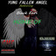 Fallen Angel cover