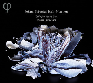 Motetten cover