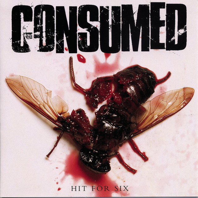 Hit For Six cover