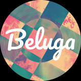 Beluga Photo