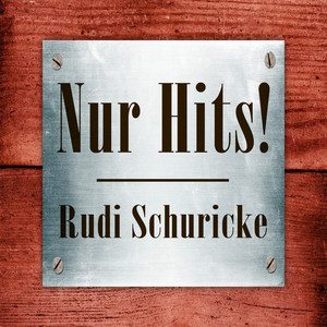 Rudi Schuricke - Nur Hits! cover