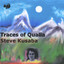 Traces of Qualia Albumcover