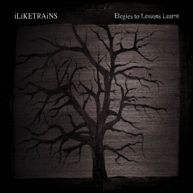 Elegies To Lessons Learnt cover