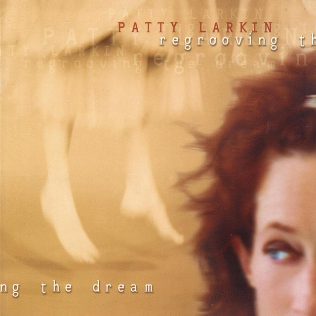 Regrooving The Dream cover