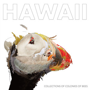 Hawaii cover