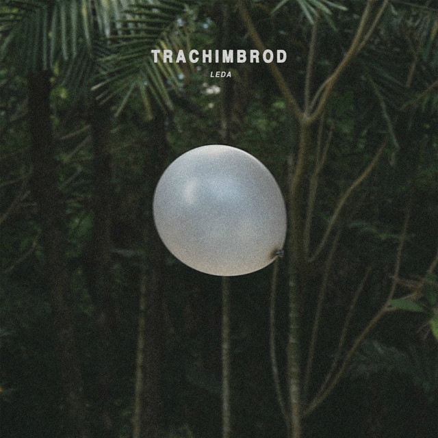 Trachimbrod Photo